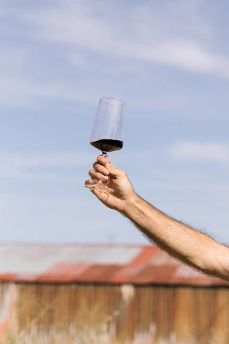 Brindando con copa de vino